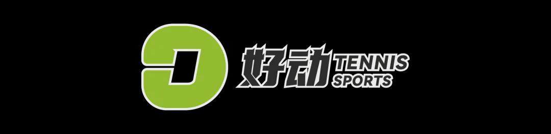 少年，听说你想成为最年轻的全满贯？那你就要打败网球之神